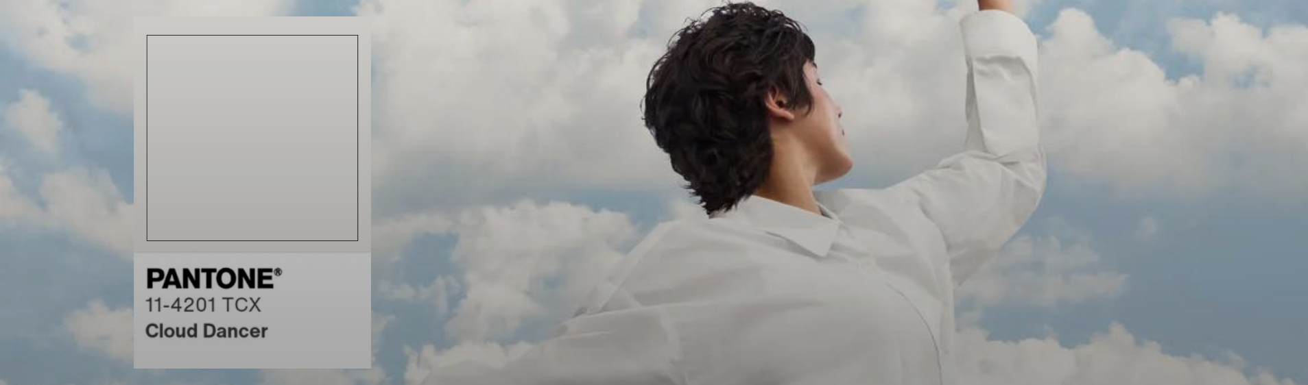 What Does the 2026 "Cloud Dancer" Color Signify?