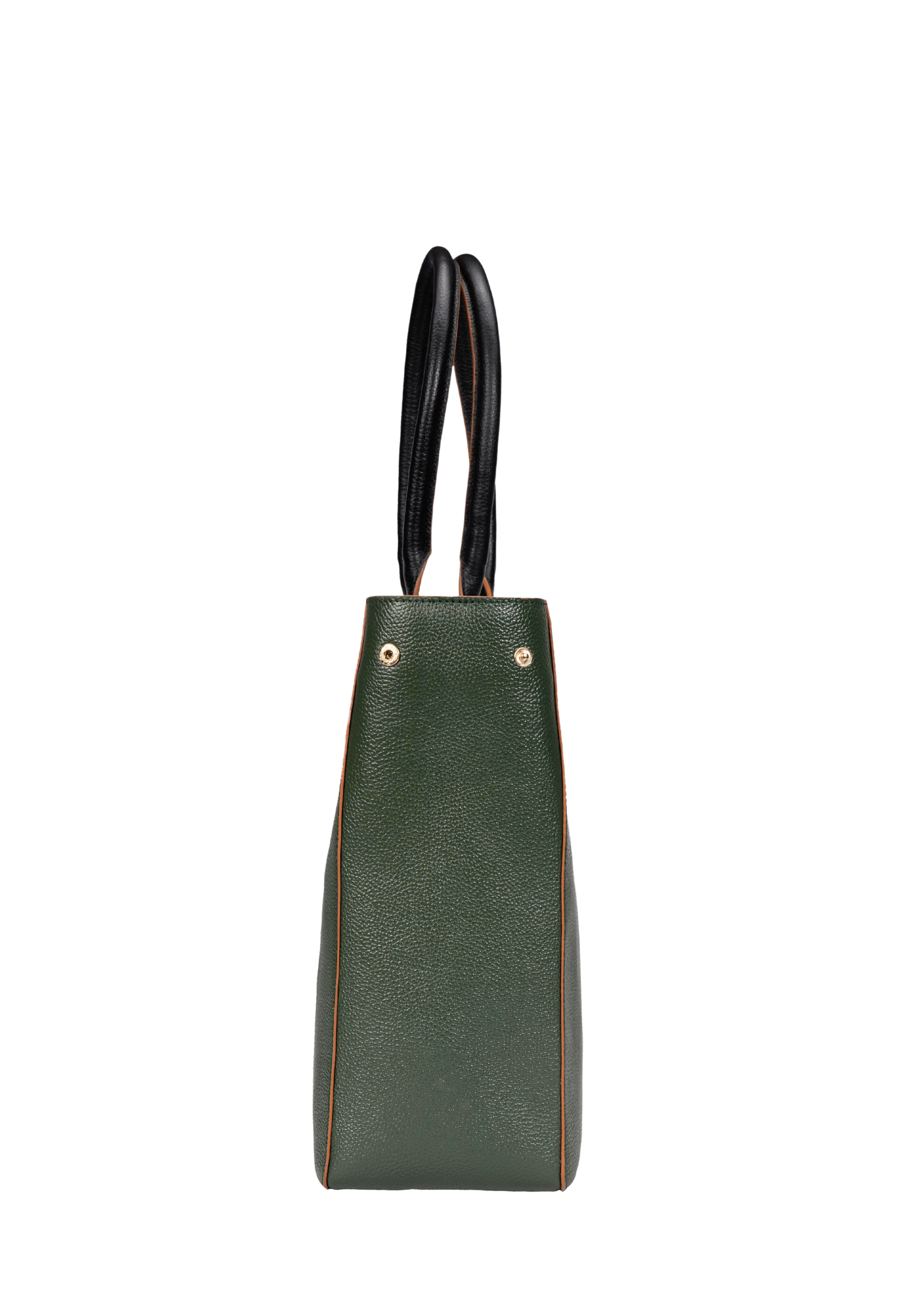 #color_dark-green