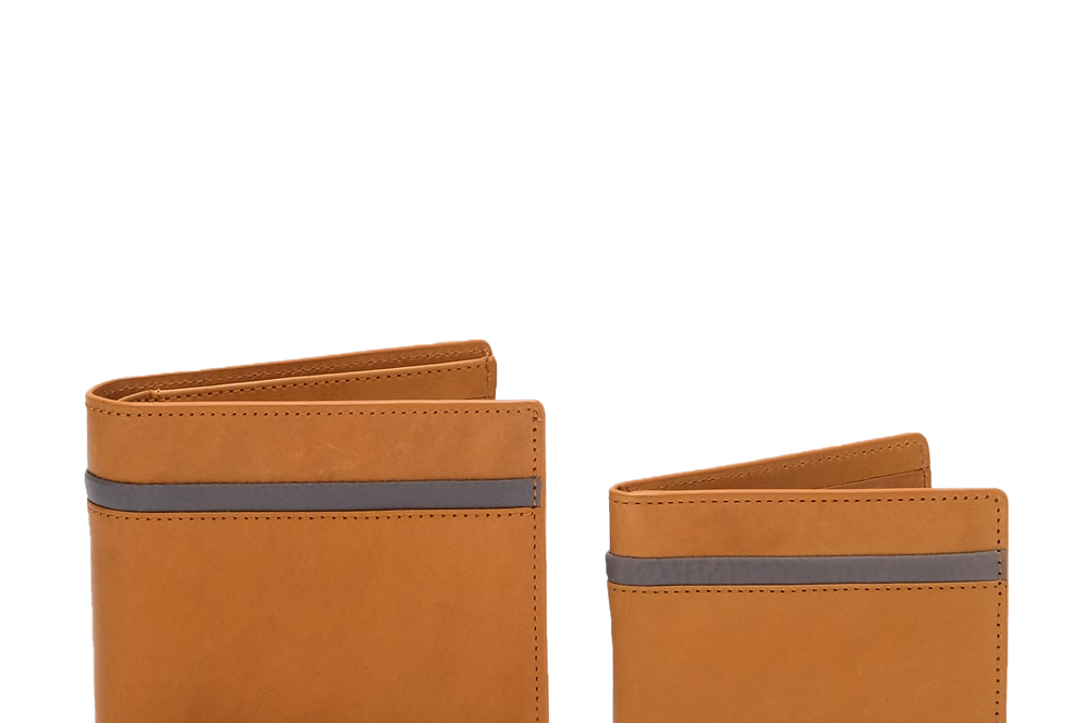 THE "2 IN 1" WALLET