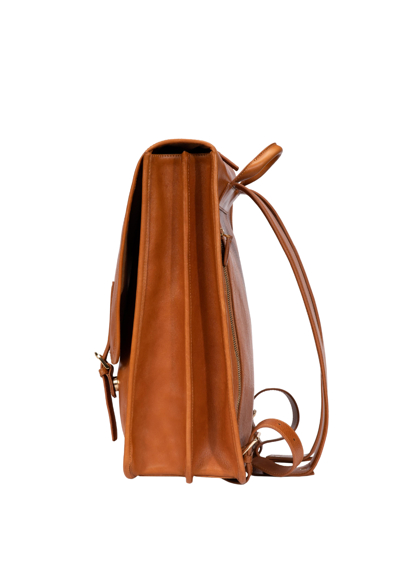 #color_brown